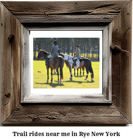 trail rides near me in Rye, New York